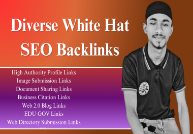 100+ High Authority Diverse White Hat Backlinks