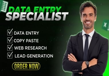 I will provide Professional Data Entry,  Excel Cleaning and Web Research Services