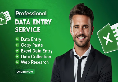 I will provide Professional Data Entry,  Excel Cleaning and Web Research Services