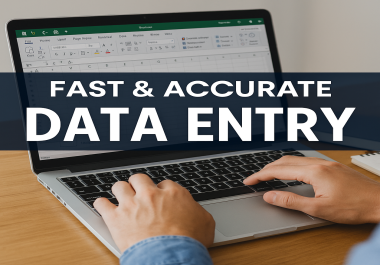 I will do fast and accurate data entry,  copy paste,  Excel,  and web research