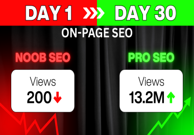 I will do On-Page SEO of your website to rank higher in google