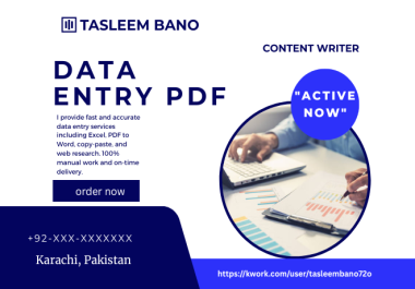 I will do professional data entry in Excel or Word