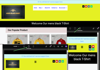 I will build a fully responsive and SEO friendly WordPress website