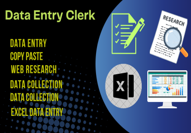 Fast Data Entry Operator Data entry clerk SEO WordPress