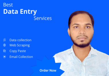 I will do accurate data entry,  data collection,  web scraping,  excel,  data cleaning