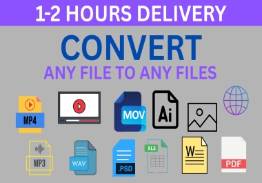 I will convert any file format mp4,  mp3,  wmv,  PSD,  ai,  PDF,  word