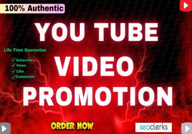 I will do best You Tube video with real audience to rank your channel