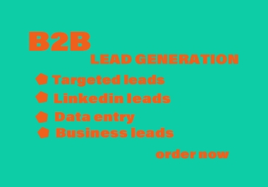 I will do for you b2b Lead generation Email List building