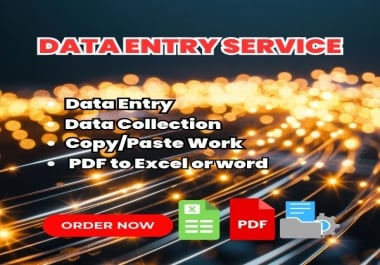Professional Data Entry,  Copy Paste & PDF to Excel Service