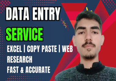I will do accurate data entry,  excel,  copy paste and web research