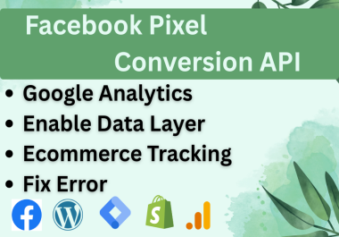 I will setup Facebook Pixel Conversion API,  GA4,  GTM,  and fix Ecommerce Tracking errors