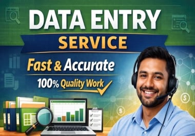 fast and accurate data entry,  copy paste,  Excel work