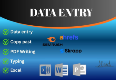 I will do fast and accurate data entry,  copy paste,  Excel work