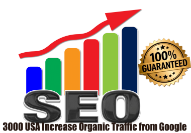 3000 USA Increase Organic Traffic from Google
