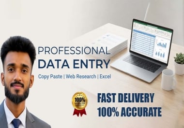 I will do professional data entry,  copy paste,  web research and excel work