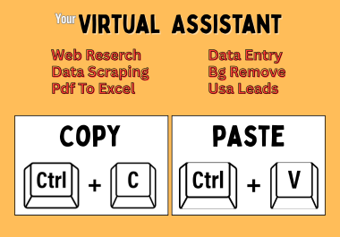 I will do Work High quality Copy paste,  data entry,  web reserch Work