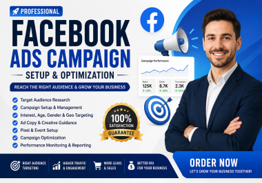 I Will Professionally Set Up Targeted Advertising Campaigns