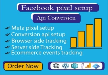 I will do meta pixel setup,  Conversion API, GTM and browser site tracking