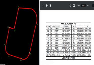 Professional Land Survey Report from AutoCAD Drawing