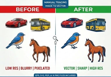 I will do professional manual vector tracing,  image tracing,  and file conversion