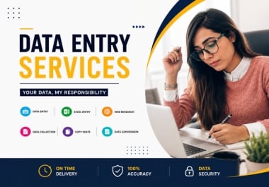 I Will Organize and Enter Your Data Accurately