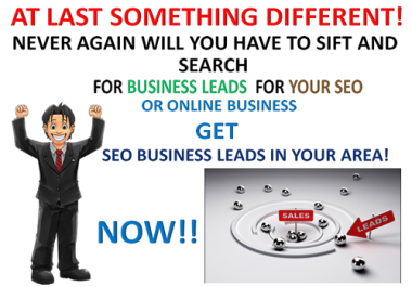 Get Laser Targeted Business SEO Leads - for any type of business within any ZIP /Postal Code
