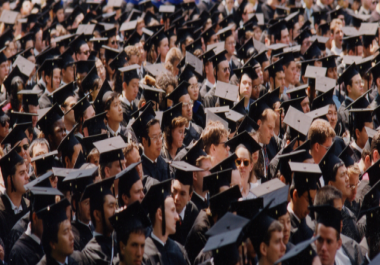 build manually 50 edu and gov links+Ping just