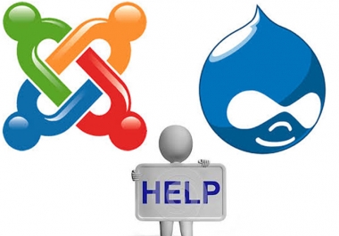 I will install Joomla or Drupal on server, and fixing error, bugs