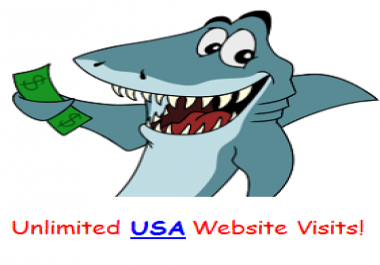 UNLIMITED Daily USA Visitors Traffic Campaign