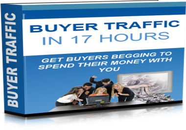 Buyer Traffic in 17 Hours