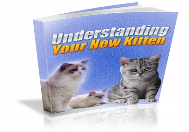 Understanding Your New Kitten PLR