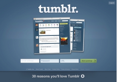 I will write a Tumblr Blog and post it for you