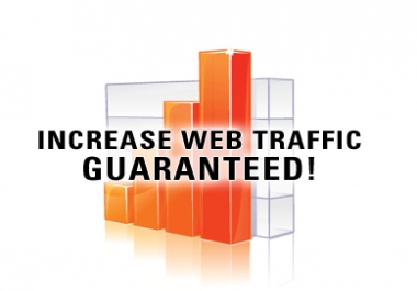 deliver 5000+ Human traffic to your website Alexa Ranking will increases Guranteed