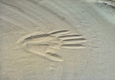 write a positive review about your business