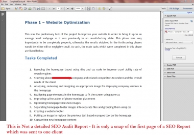 I will conduct a SEO Audit for your website