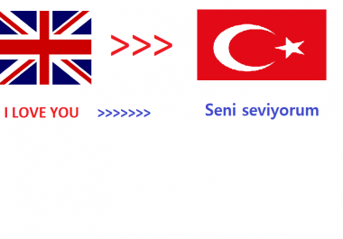 We will translate 500 English words to Turkish within 24hrs