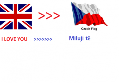 We will translate 500 English words to Czech within 24hrs