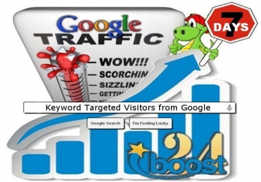 Daily keyword targeted visitors from Google for 7 days