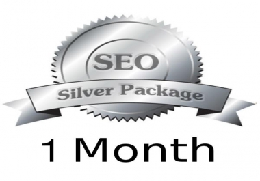 High Quality SEO Monthly Campaign Package- Silver