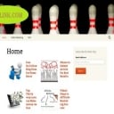 I will post 10 of your guest blog posts on my SEO and Internet Marketing & Money Making Blog Review