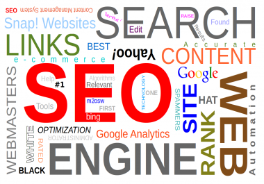 I will do seo to rank your site higher in search engine