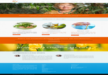 I will design a Professional 6 page SEO friendly Wordpress Website