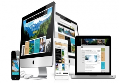 I will build professional website design