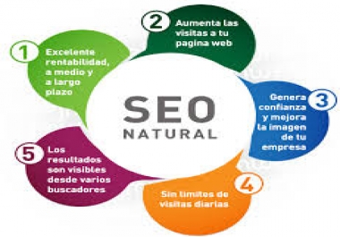 I will build manually exclusive SEO link pyramid in 24 hour