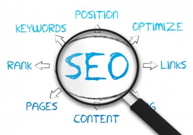 All In One SEO Package For You