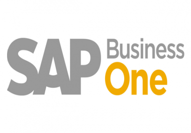 SAP Business One Consulting