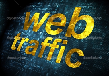 Provide you 12000+ usa targeted traffic