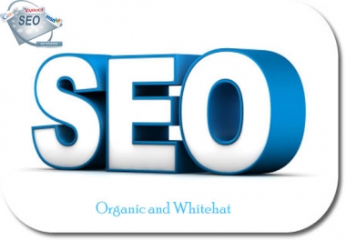 I wil skyrocket your rank in in Google,  50 PR10 Niche Backlinks,  40days SEO