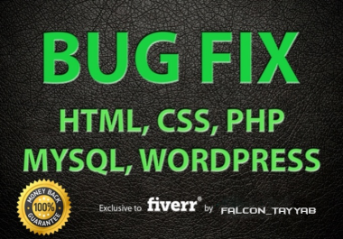 I Will Fix Any Wordpress Problem or Error or Issue