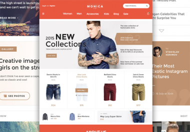 Professionaly Desing 100 working Website